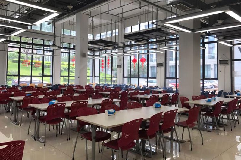 学校食堂变革：从传统到承包的新篇章